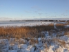Vinter 2010-2011
